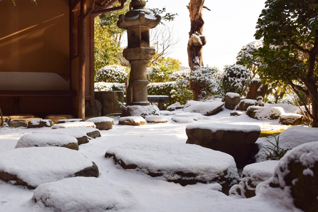 雪_飛び石